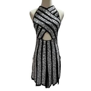 Proenza Schouler Printed Pleated Black White Fit and Flare Sleeveless Dress Sz 2